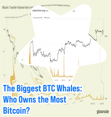Biggest holders of bitcoin