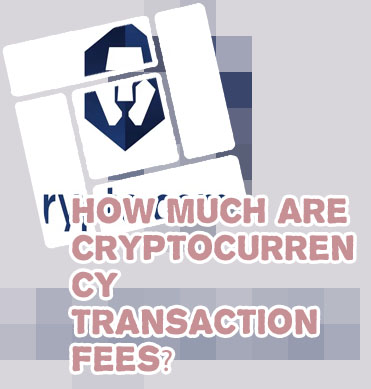 Crypto com fees