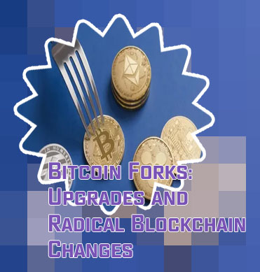 Crypto forks