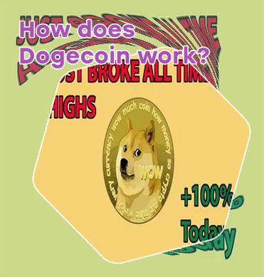 Does public have dogecoin