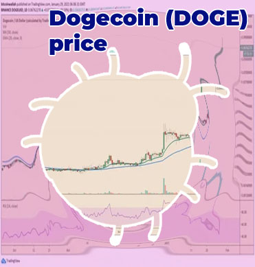 Dogecoin price usd live