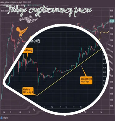 Live price of bitcoin