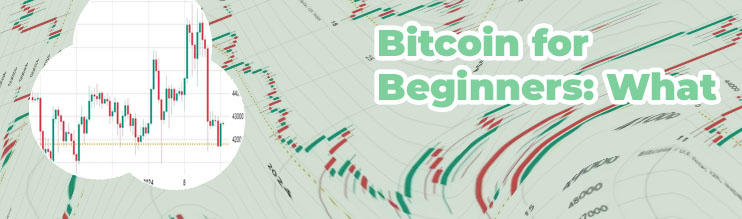 One bitcoin to dollar