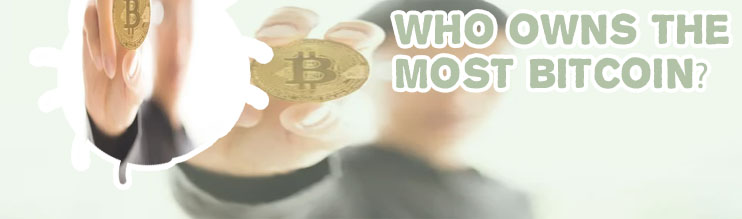 Who has the most bitcoins